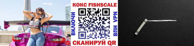 Cocaine Fish Scale  где найти наркотики  Кызыл 
