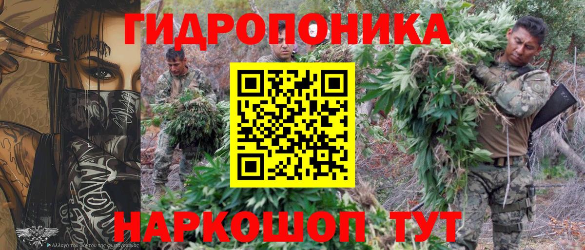 Канабис сатива  Вход с VPN  Кызыл  Марихуана Ganja  МАРИХУАНА ГИДРОПОН 